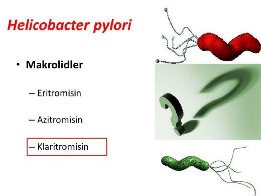 H Pylori Tedavisi