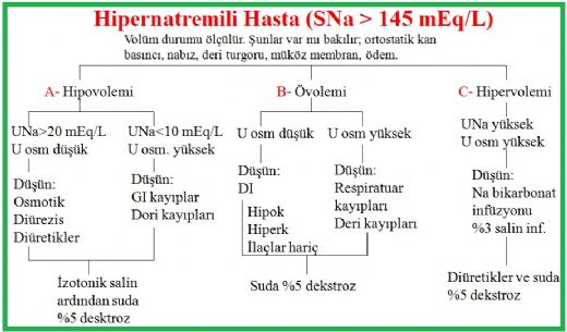 Hipernatremi Tedavisi