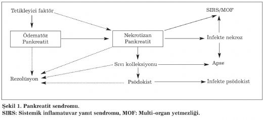 Pankreatit Tedavisi